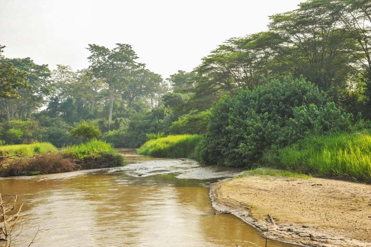 Kihihi Bullbush River Camp מראה חיצוני תמונה